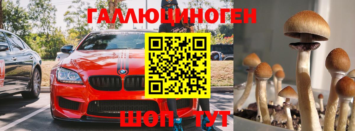Ессентуки  Галлюциногенные грибы мухоморы  Вход с VPN 